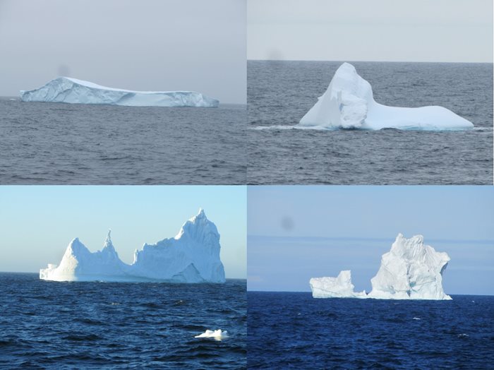 Ice bergs